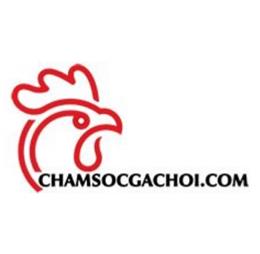 chamsocgachoicom