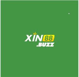 xin88buzz