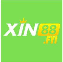 xin88fyi