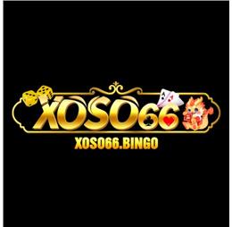 xoso66bingo