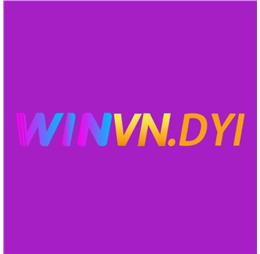 winvndiy