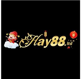 hay88ltd