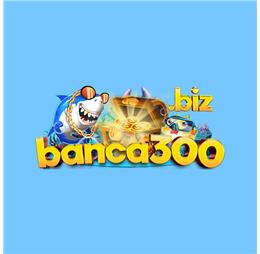 banca300biz