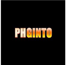 PHGINTO