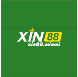 xin88miami