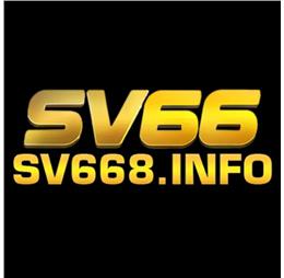 sv668info