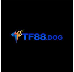 tf88dog