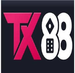 tx88investment