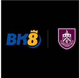 bk8netjaninfo1