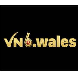 vn6wales