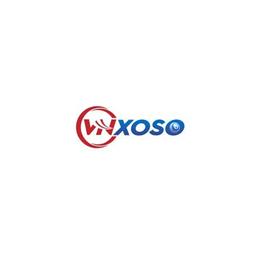 vnsoxowin