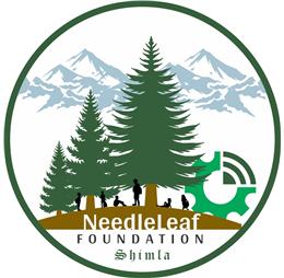 NeedleleafFoundatio