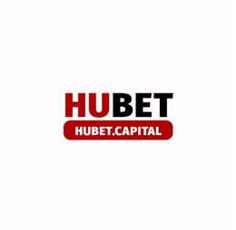 hubetcapital