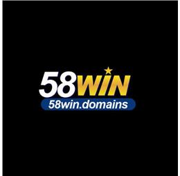 58windomains