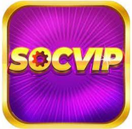 socvipdev