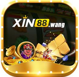 xin88wang