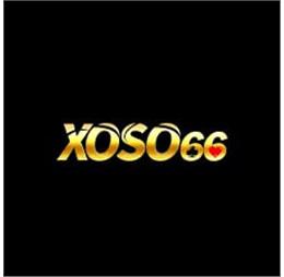 xo66lcc