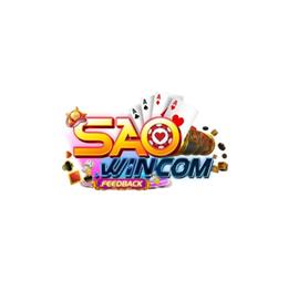 saowincomfeedback