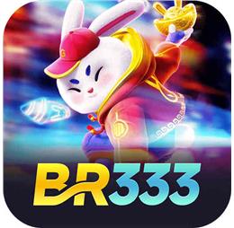 br333co1