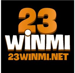 23winminet