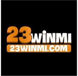 23winmicom