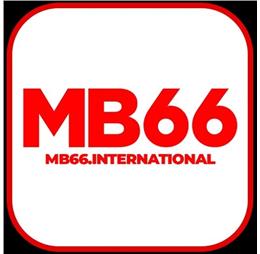 mb66international