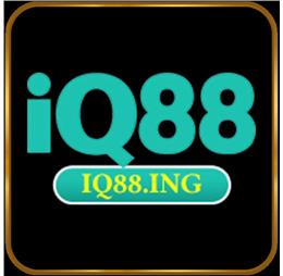 Iq88ing