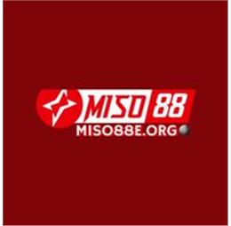 miso88eorg