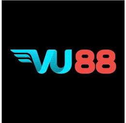 vu88camm