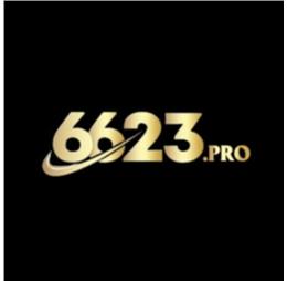 6623pro