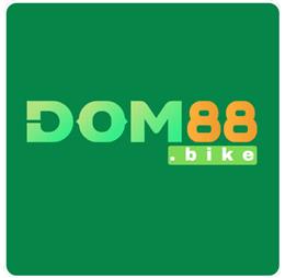 dom88bike
