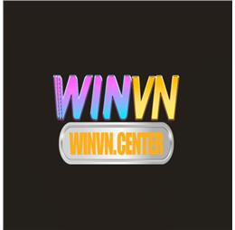Winvncentervn