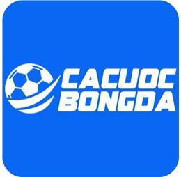 cacuocbongdavin0