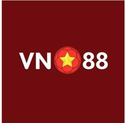 vn88photography