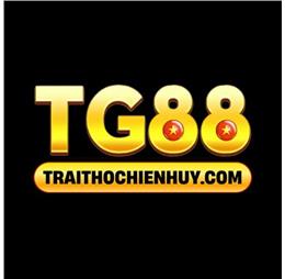 tg88linkbet