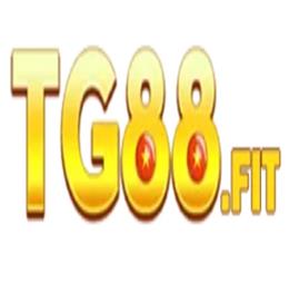 tg88fit