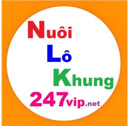 nuoilokhung247vip