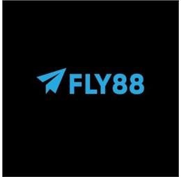 Fly88tours