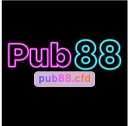 pub88cfd