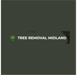 Treeremovalmidland
