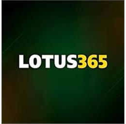 Louts365