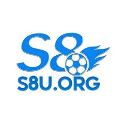 s8uorg1