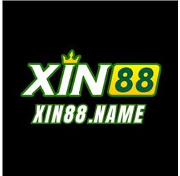xin88name