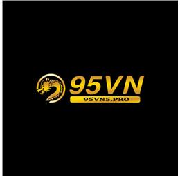 95vn5pro