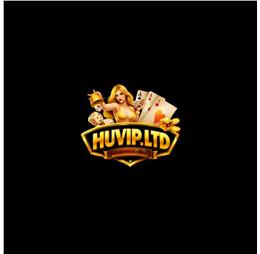 huvipltd