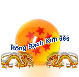 rongbachkim66net