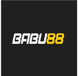 babu881org