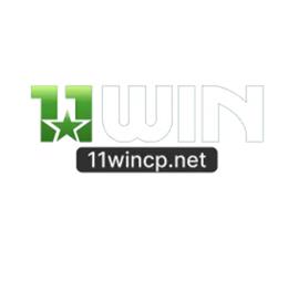 11wincpnet