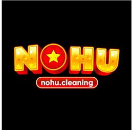 nohucleaning1