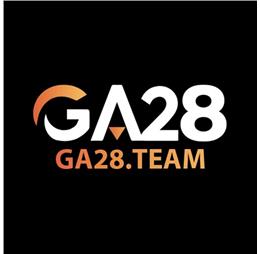 ga28team